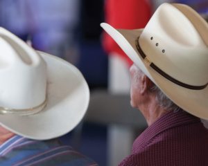 BRECKLAND COUNTRY MUSIC FESTIVAL